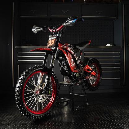 SURRON Light Bee Custom