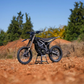 SURRON Ultra Bee 2025