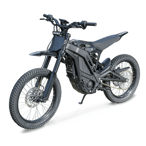 ERIDE PRO SS 3.0 L1e