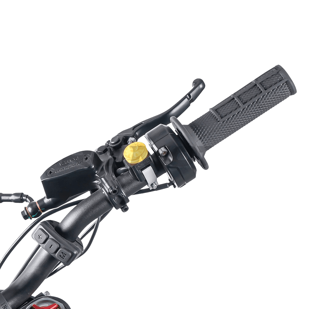 Altis Sigma - Voltheads