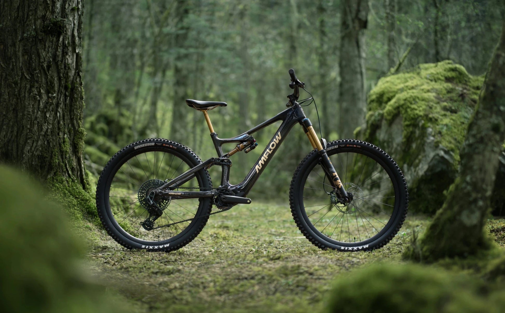 Amflow PL Carbon Pro 800Wh - Voltheads