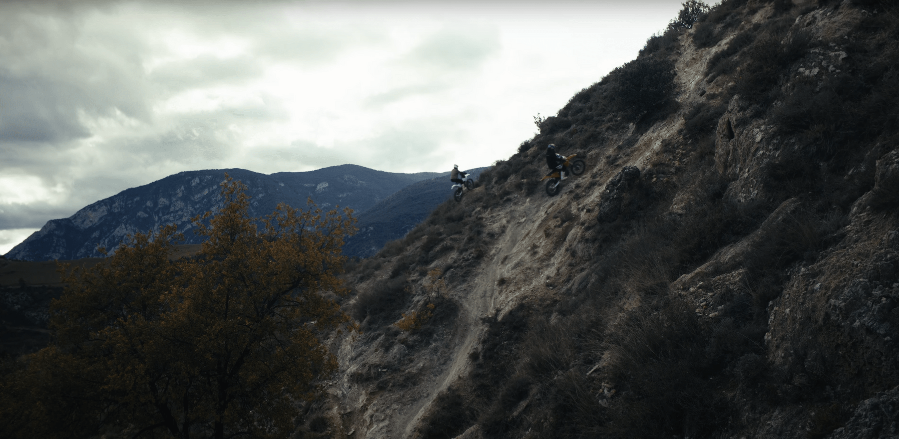 Stark VARG EX - Voltheads