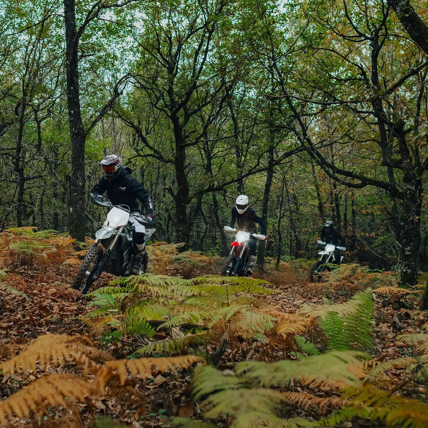 Stark VARG EX - Voltheads