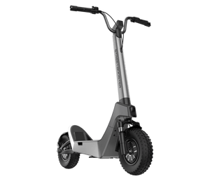 Streetbooster Pollux - Voltheads