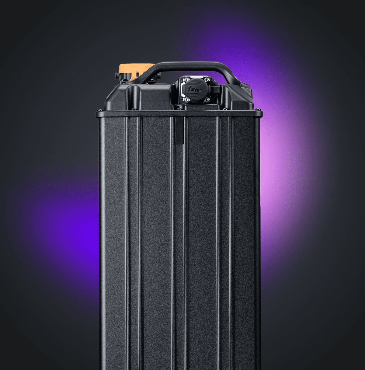 SURRON Light Bee 2 - Voltheads