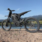 ERIDE PRO SS 3.0 L1e